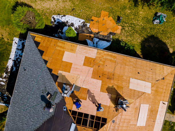 Best Roof Replacement Cost  in Renova, MS