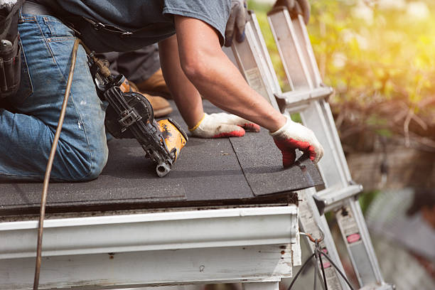 Best Gutter Installation and Roofing  in Renova, MS